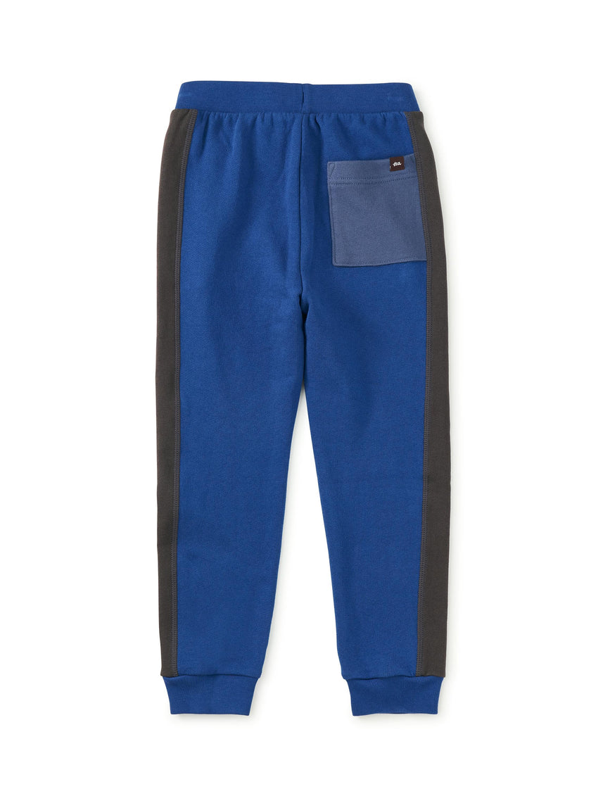 Colorblock Stripe-Out Joggers, Royal