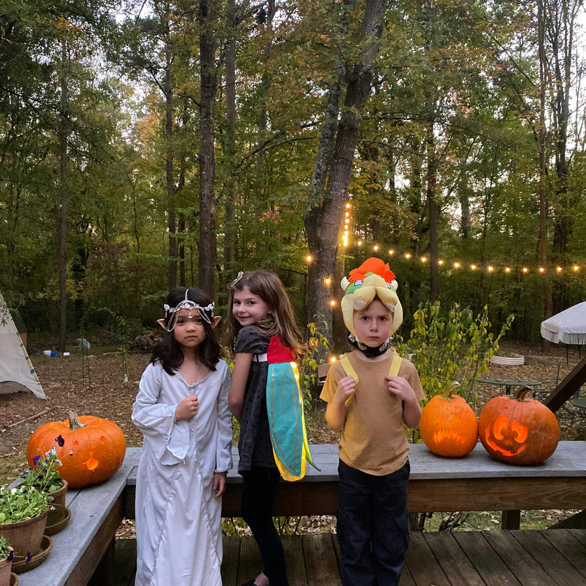 Firefly Costume Wings