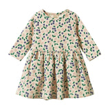 Long Sleeve Twirl Dress