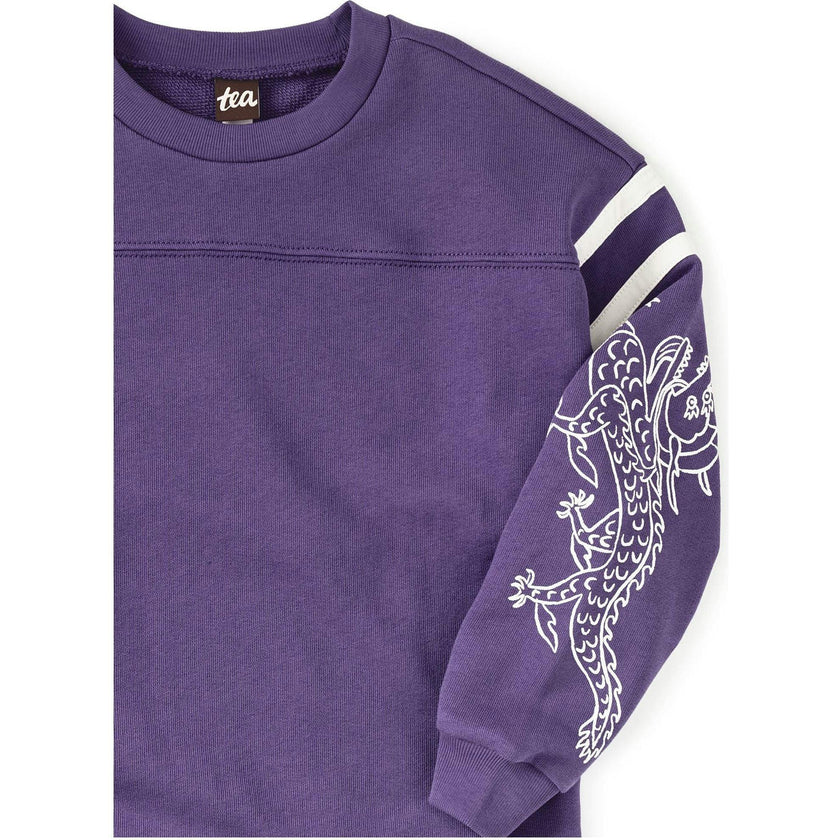 Sporty Sleeve Popover, Purple