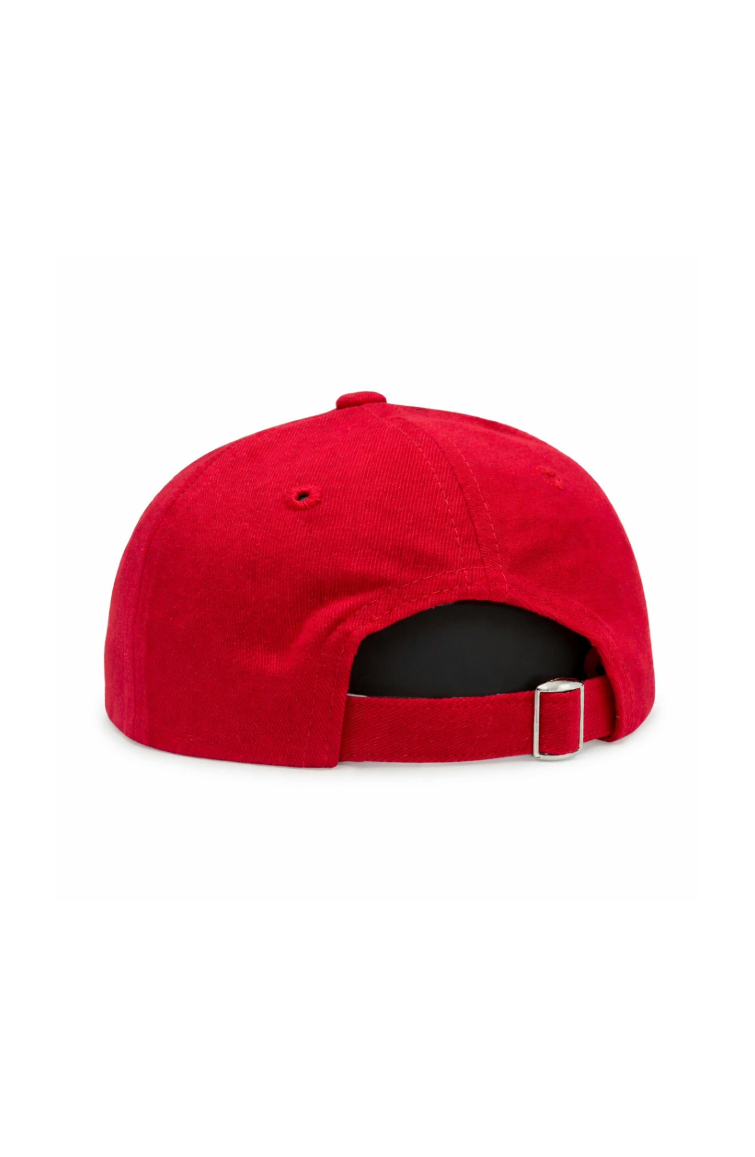 America 250th Baseball Hat