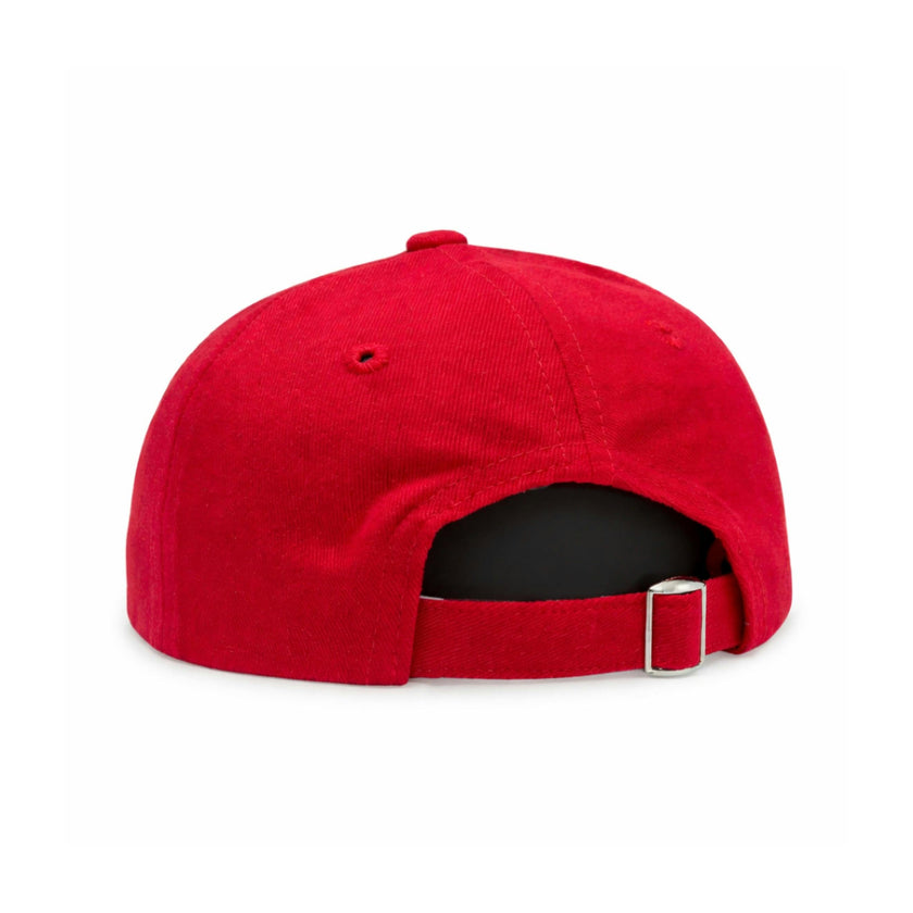 America 250th Baseball Hat