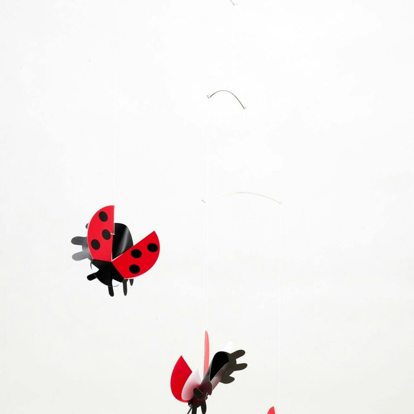 Lady Bird.
