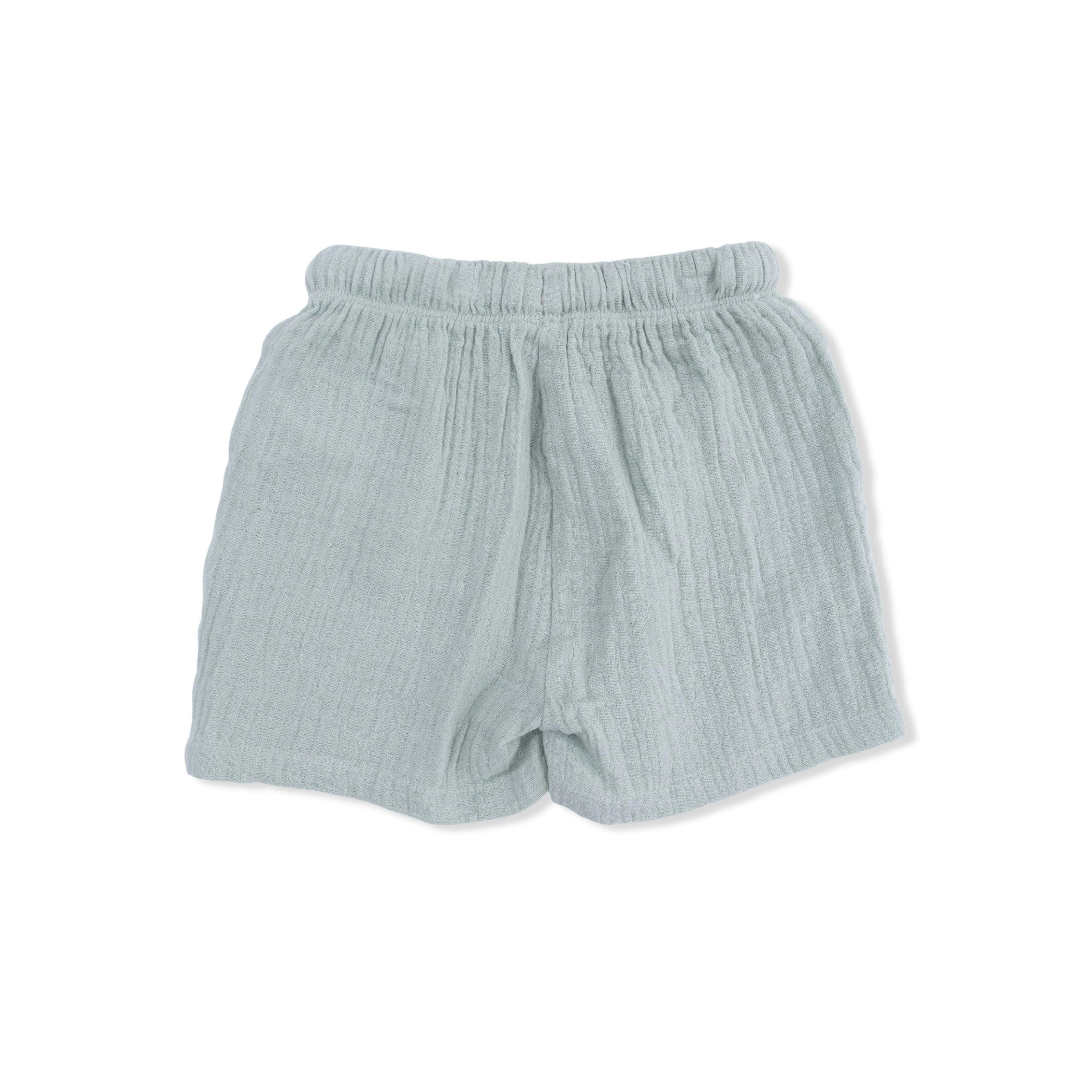 Sea Turtles - Polo with Casual Short