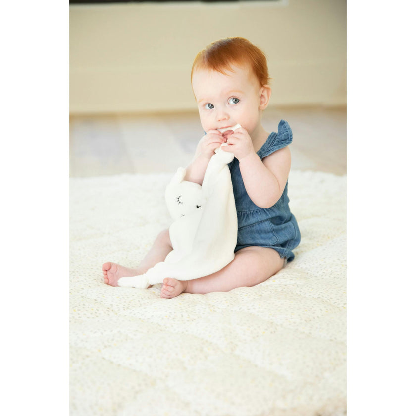 Teether Buddy