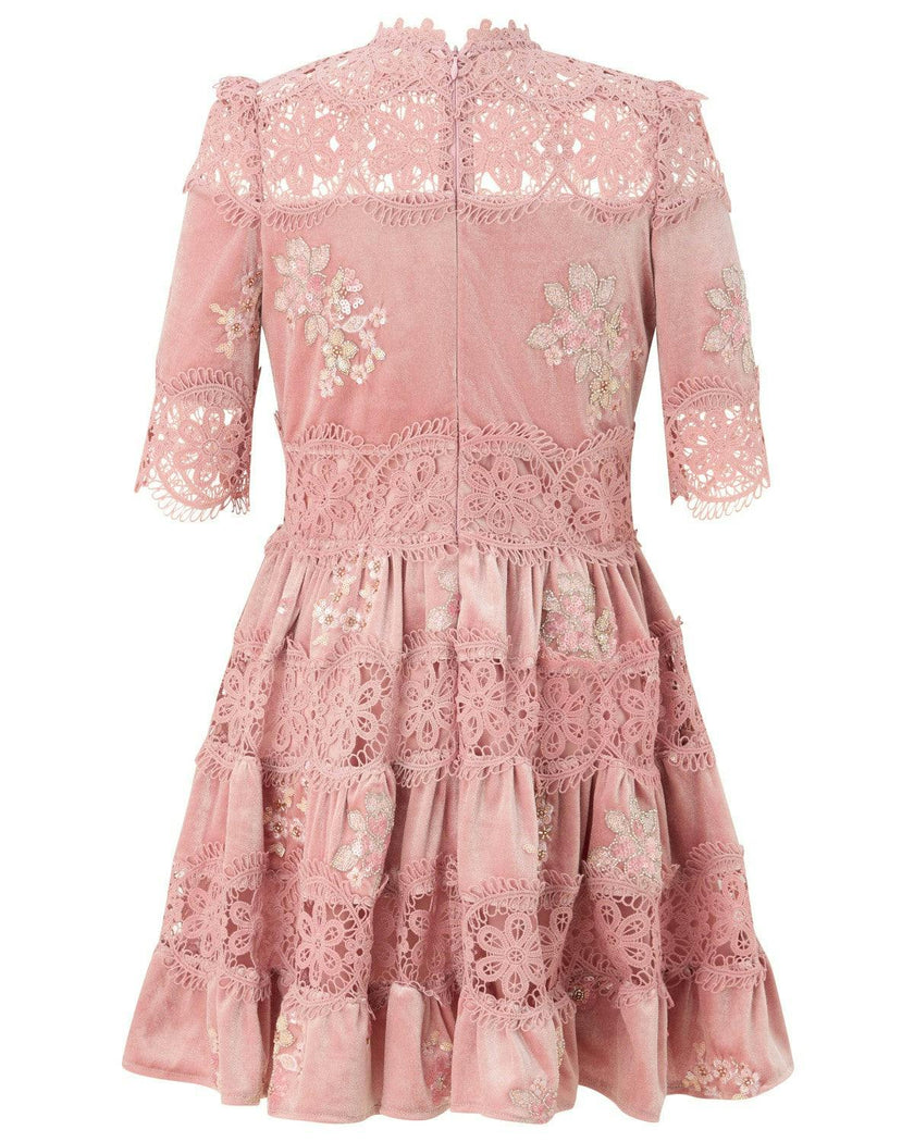 Destiny Velvet Mini Dress