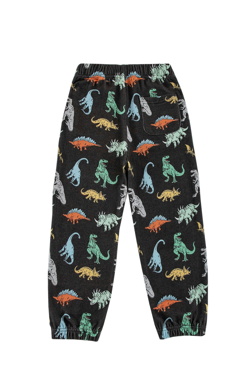 Soft Fleece Jogger, Dinosaur Dudes