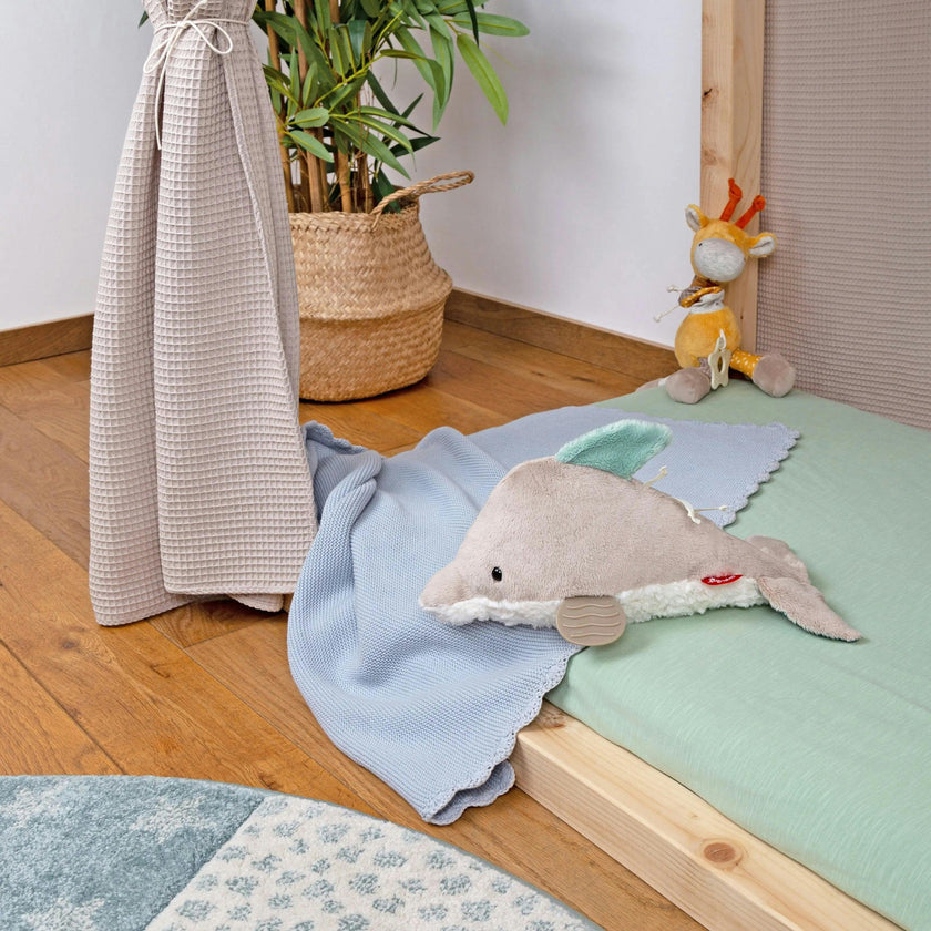 Dolphin Activity Toy