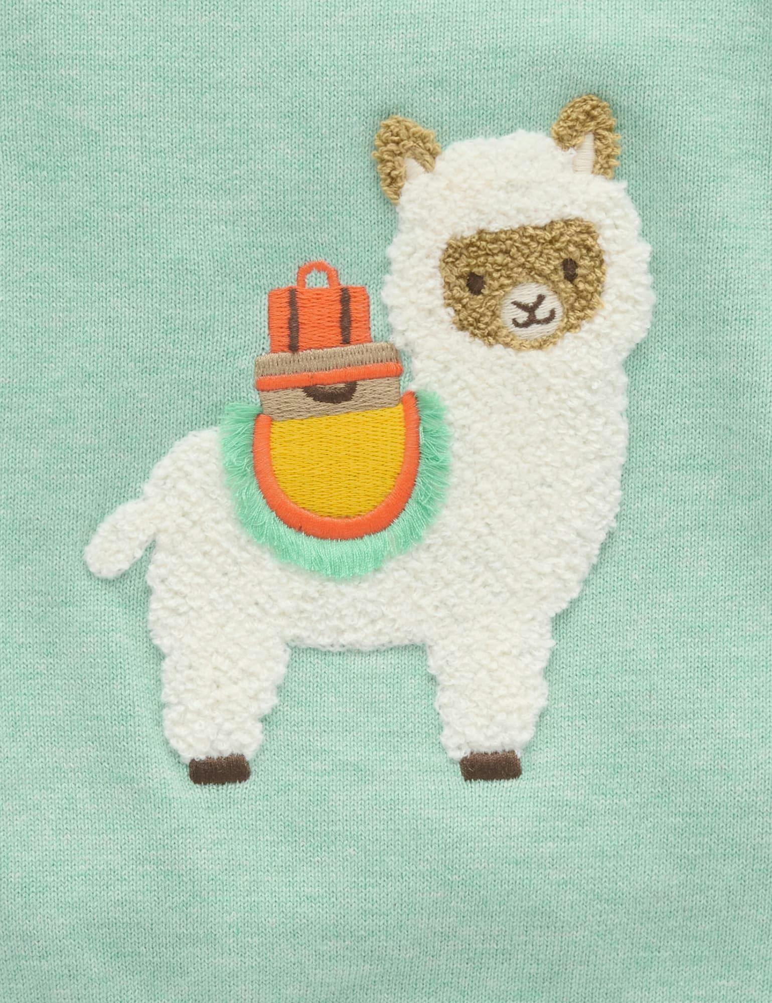 Llama Jumper Aloe Melange