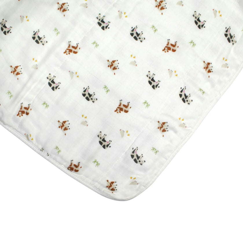 Blanket