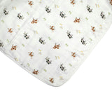 Blanket