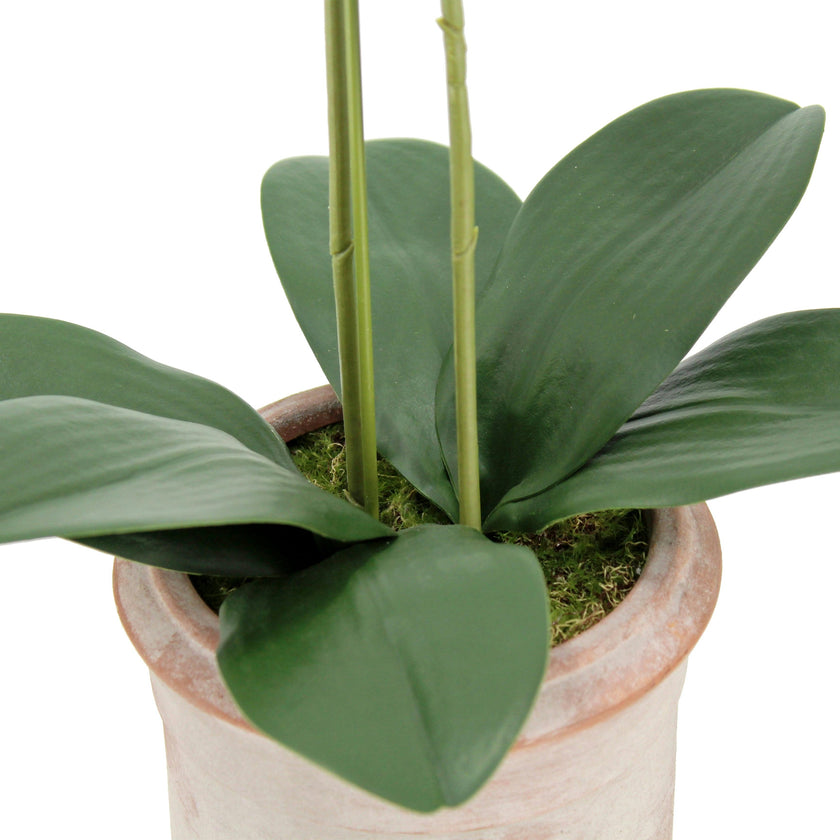 Artificial 2-Stem Phalaenopsis Pink Orchid