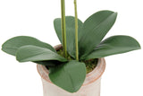 Artificial 2-Stem Phalaenopsis Pink Orchid