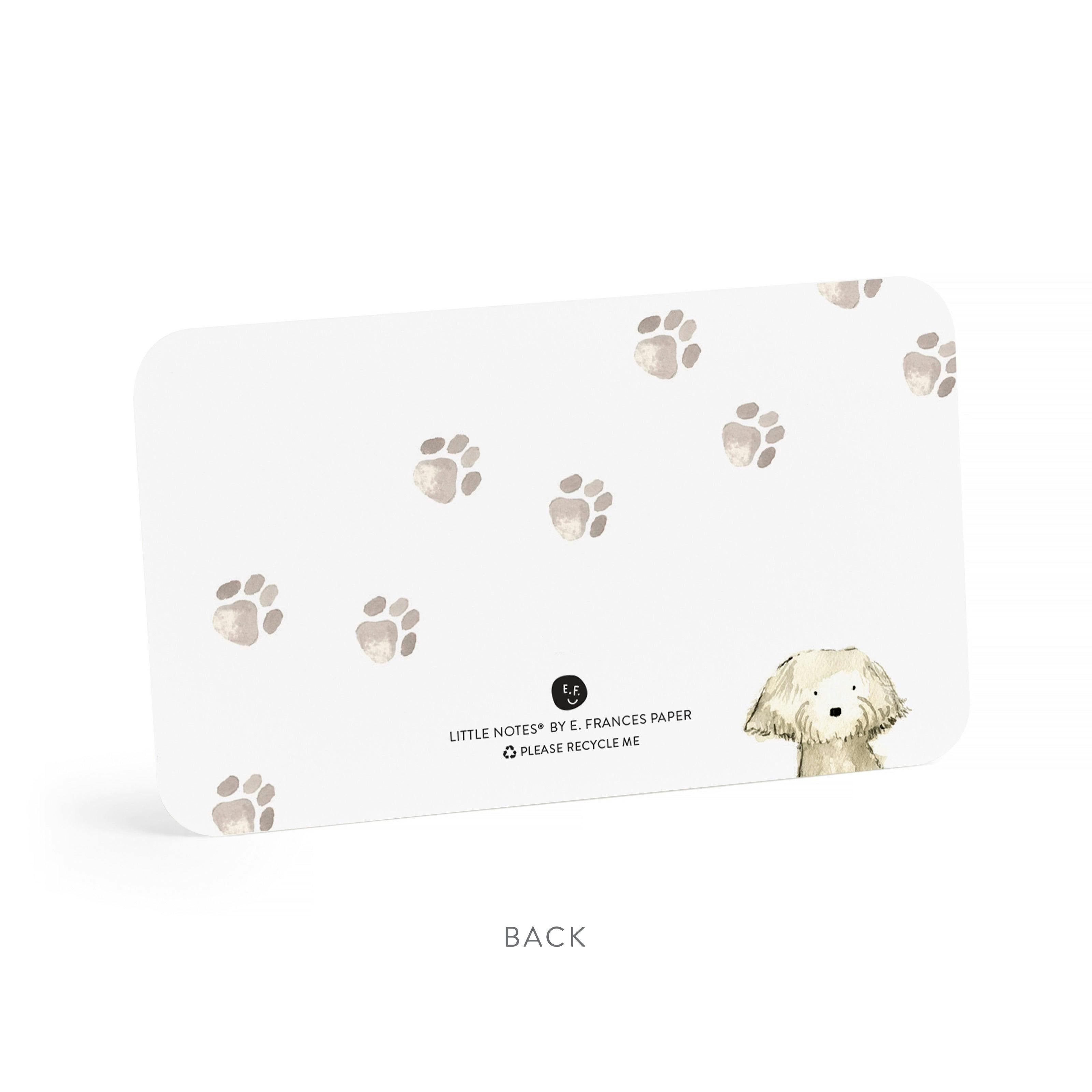 Set of 55 Little Notes®