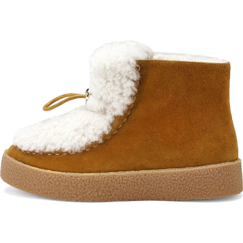 Aspen Camel