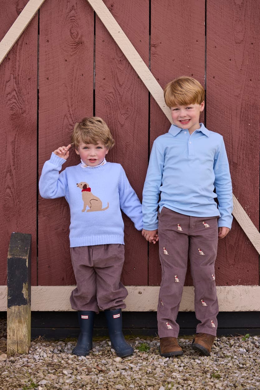 Long Sleeve Polo - Light Blue