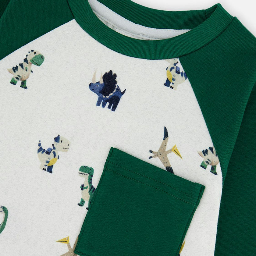 Long Sleeve Raglan T-Shirt Beige Dinosaur Print