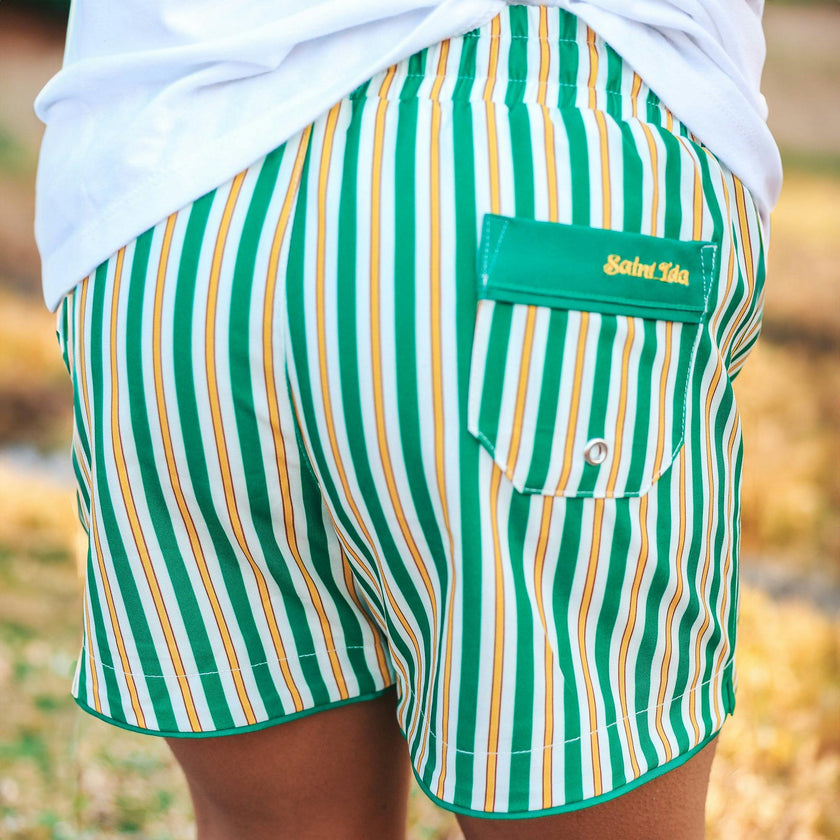 Hamptons Stripe Swim Shorts
