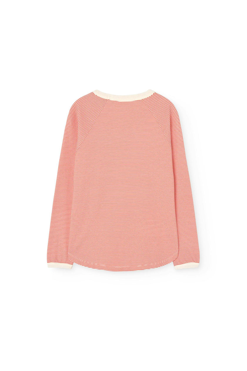 Striped Anteater Long Sleeve T-shirt