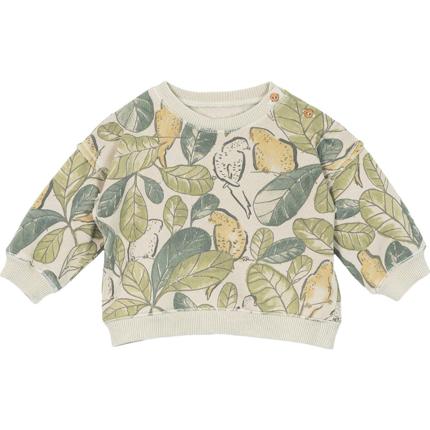 Canary and Jungle Pullover