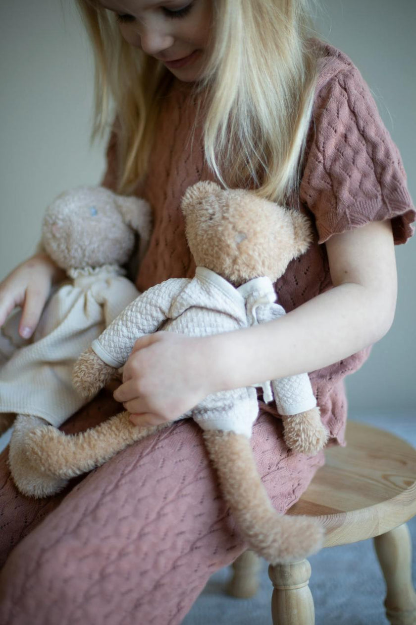 The Little Bear