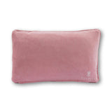 Mirror Mirror Needlepoint Pillow