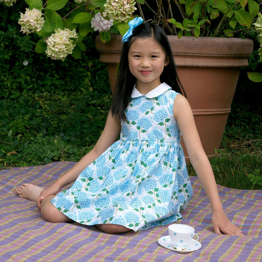 Hydrangea Peter Pan Collar Dress