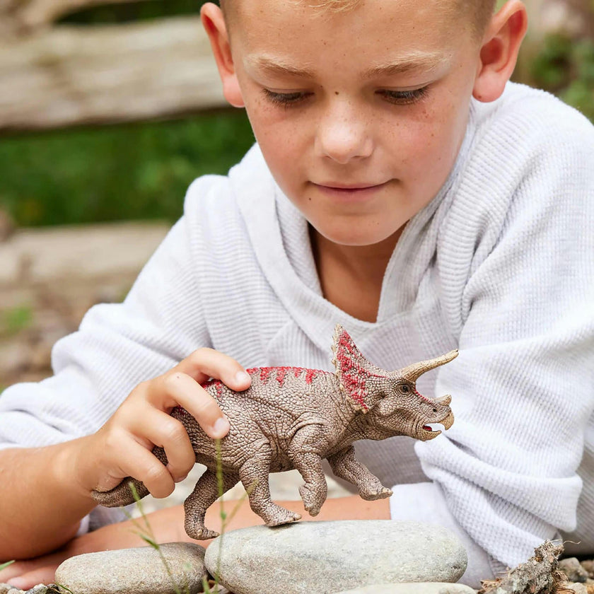 Schleich Dinosaurs: Triceratops - Action Figure
