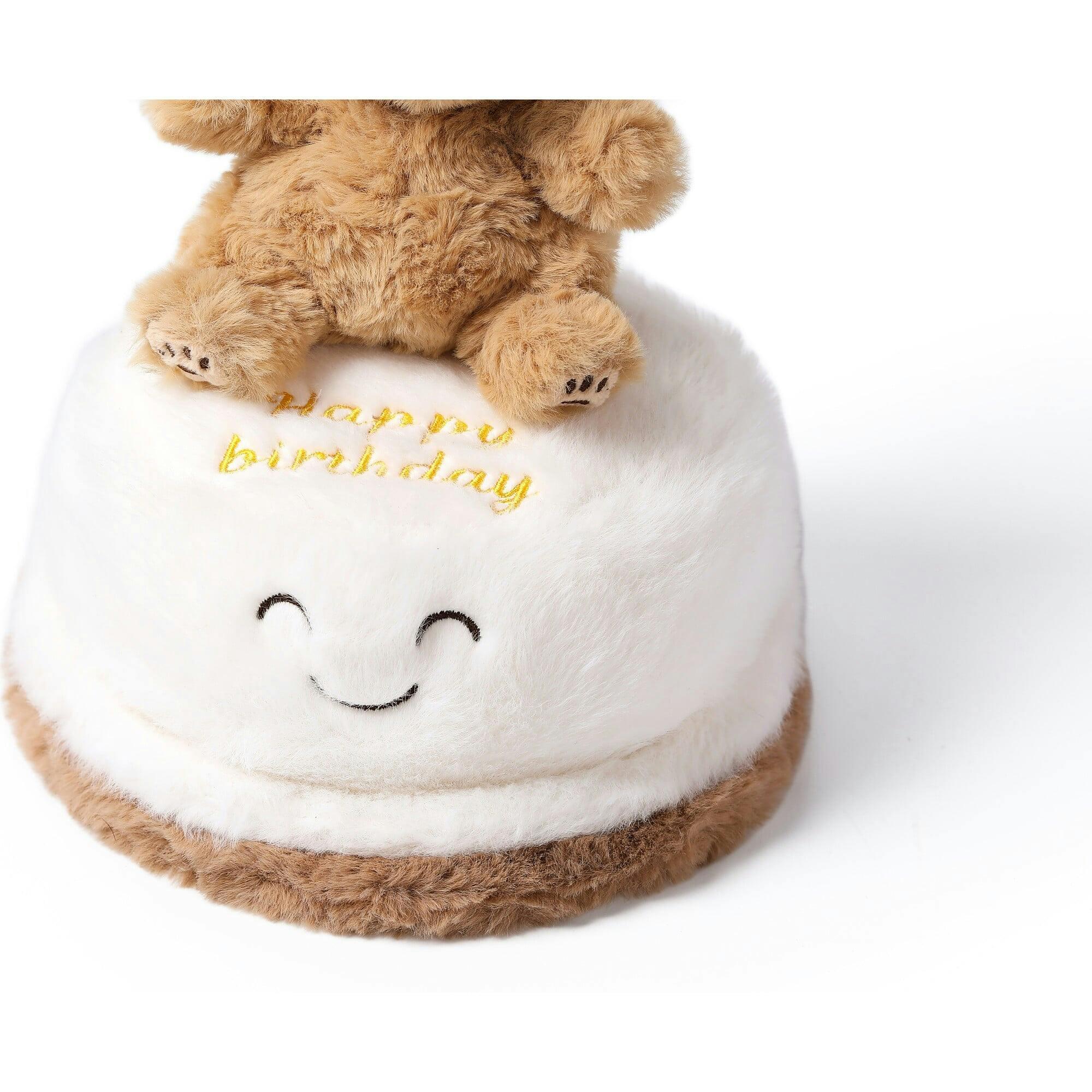 McHugs Birthday Wishes Bear Cake 7