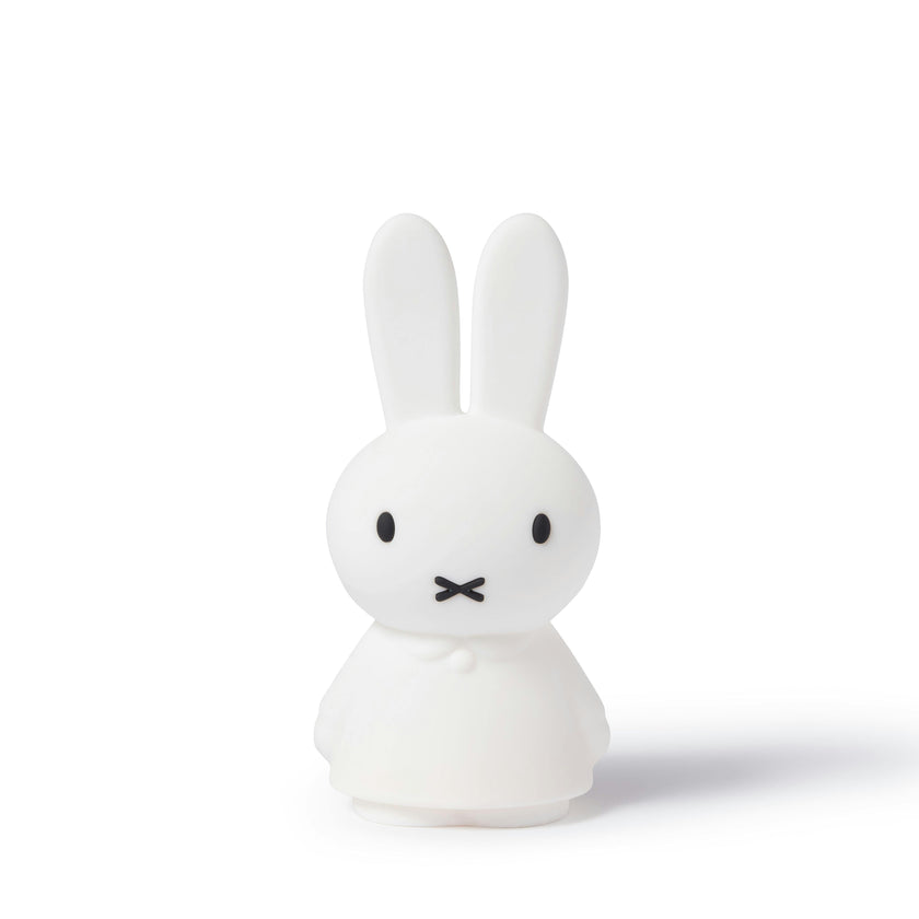 Mr Maria Miffy Lights