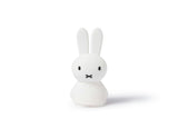 Mr Maria Miffy Lights