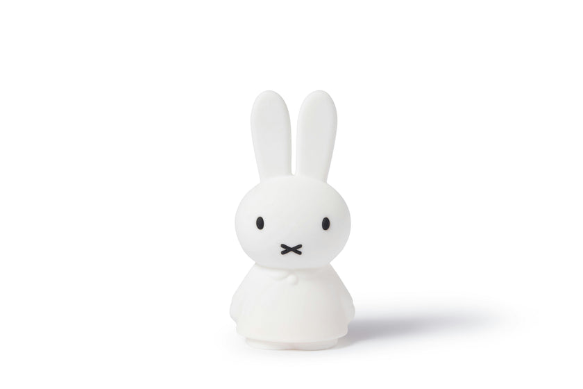 Mr Maria Miffy Lights