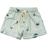 Boy's Swim Shorts
