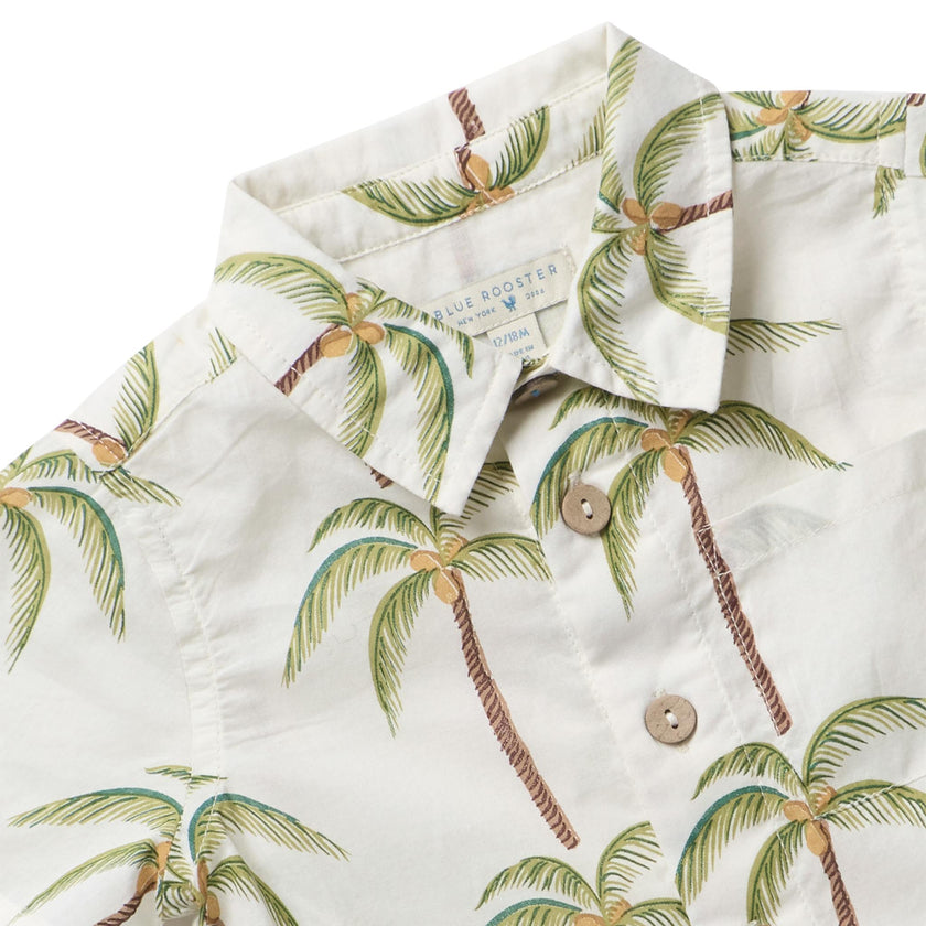 Baby Boys Jack Shirt - Cream Palm Tree