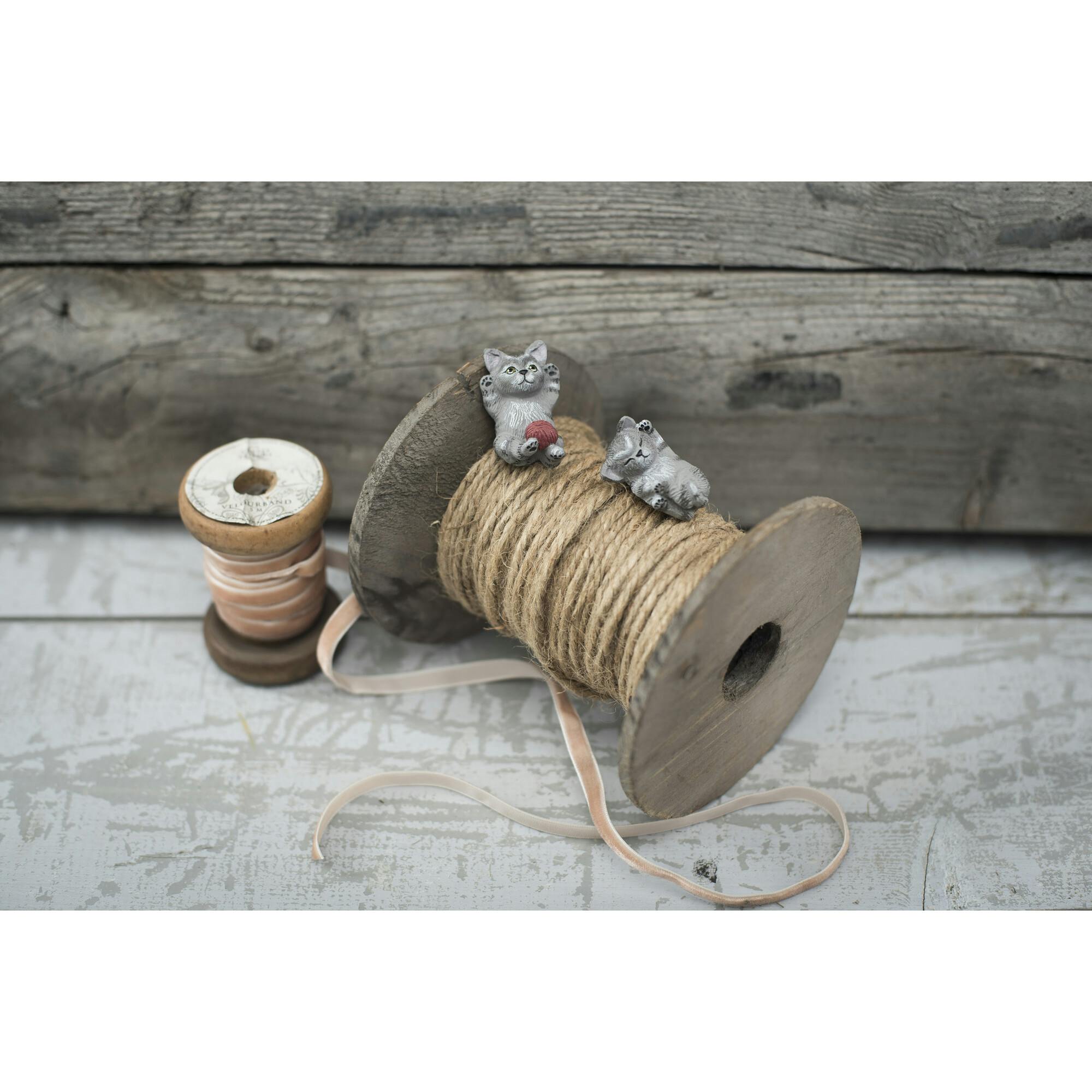 Miv & Nulle Cats