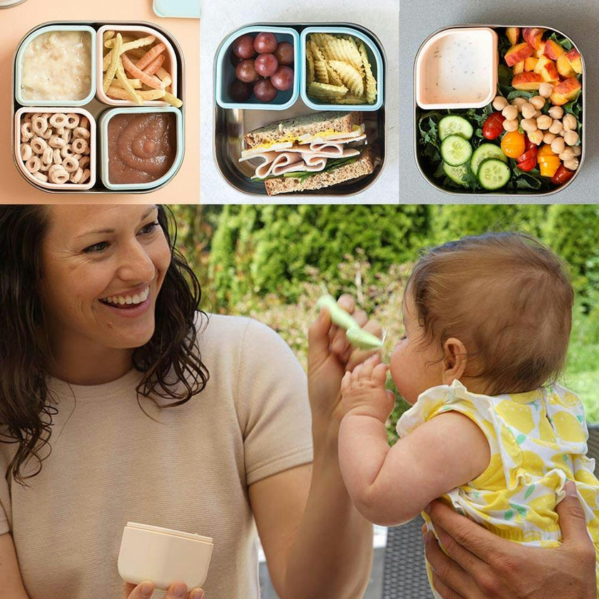 GrowBento: All Ages Bento Box - Chrome + Aqua