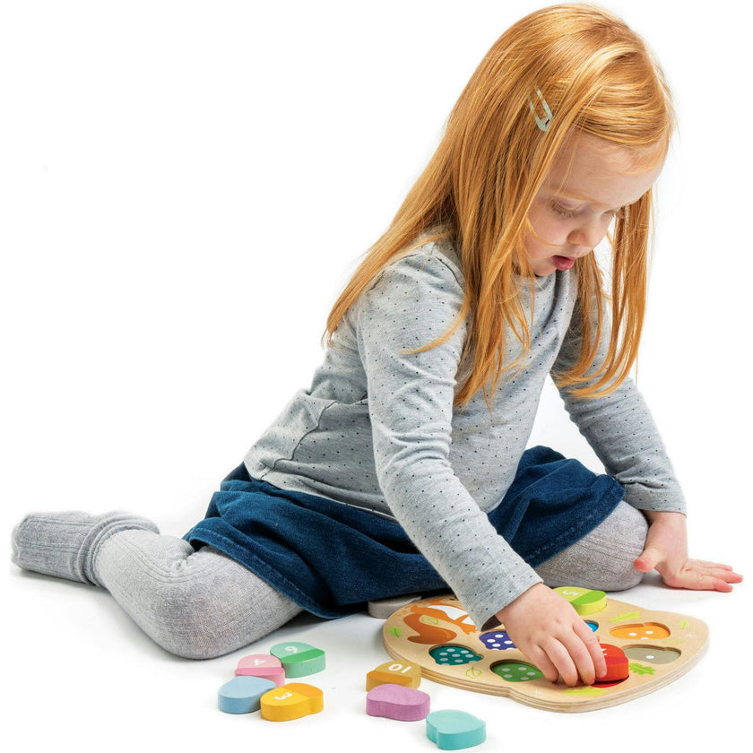 Bright Minds Math Collection