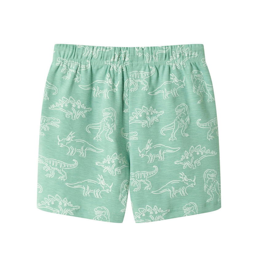 Boys Printed Henley Set | Green Dino