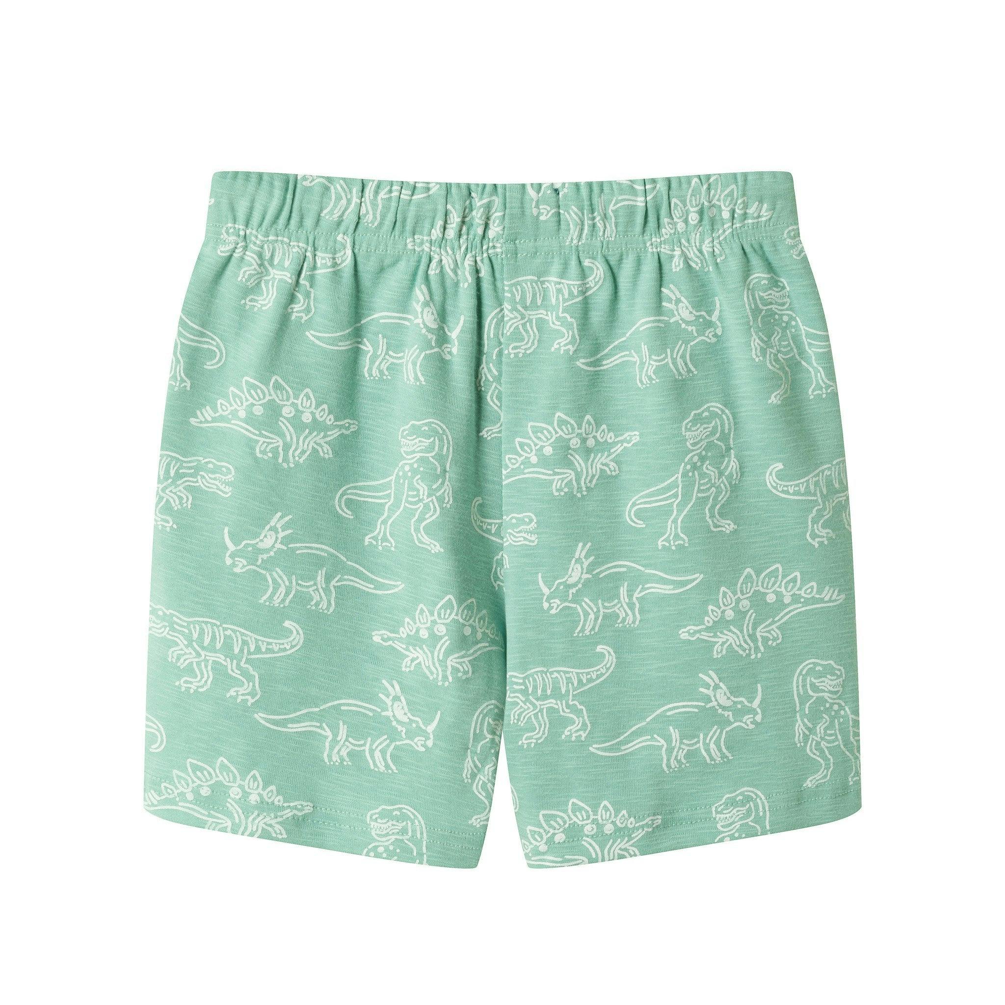 Boys Printed Henley Set | Green Dino