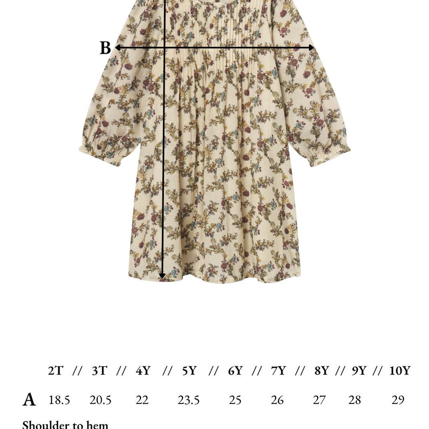 Charlotte Dress in Harvest Toile
