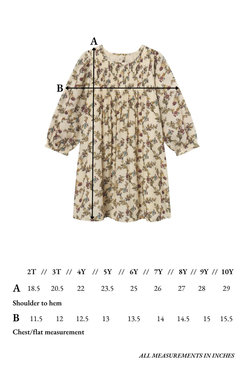 Charlotte Dress in Harvest Toile