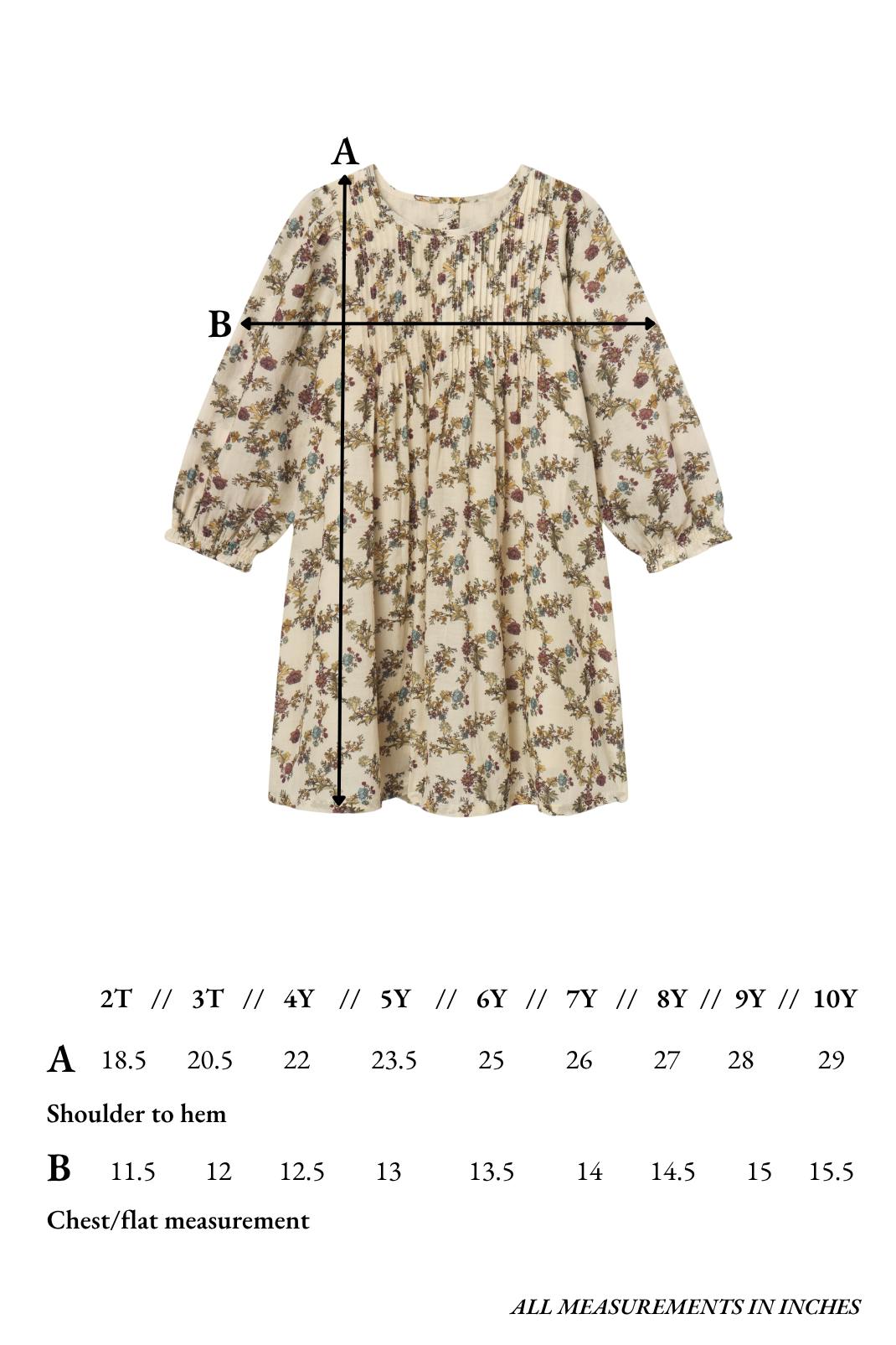 Charlotte Dress in Harvest Toile