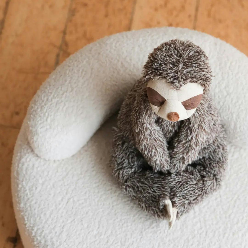 A Sloth Called Sunny
