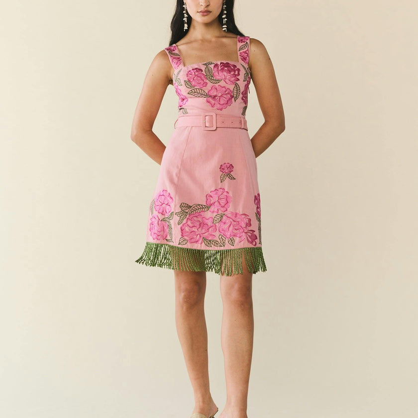 Sarah Bird Mini Dress