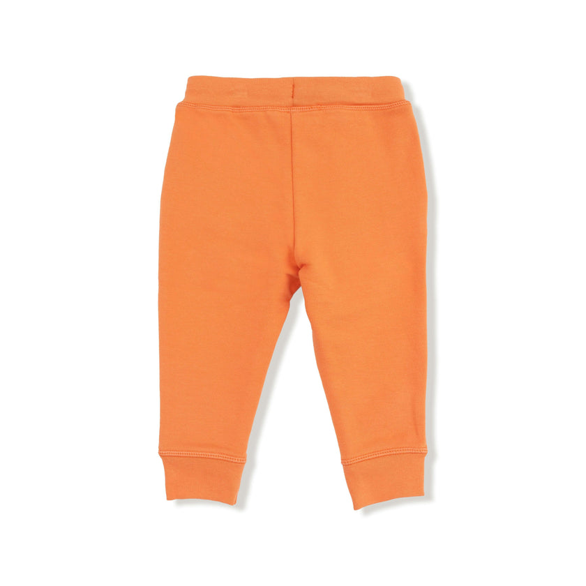 Varsity - Orange - Jogger Pant
