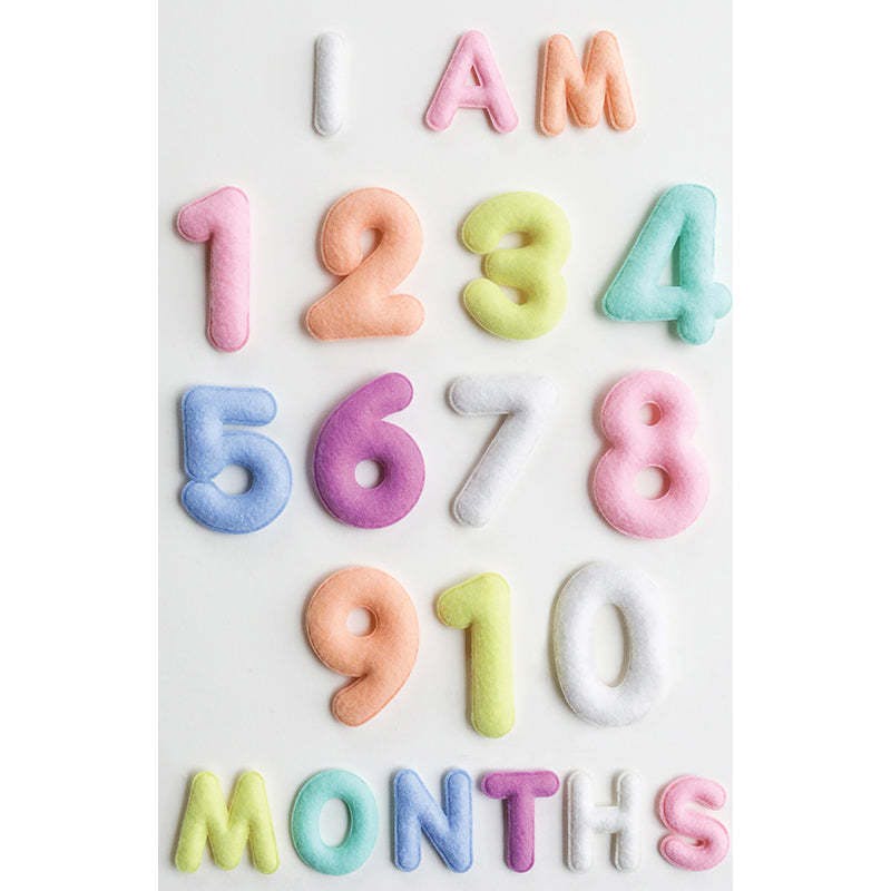 Milestone Felt Numbers in Pastel