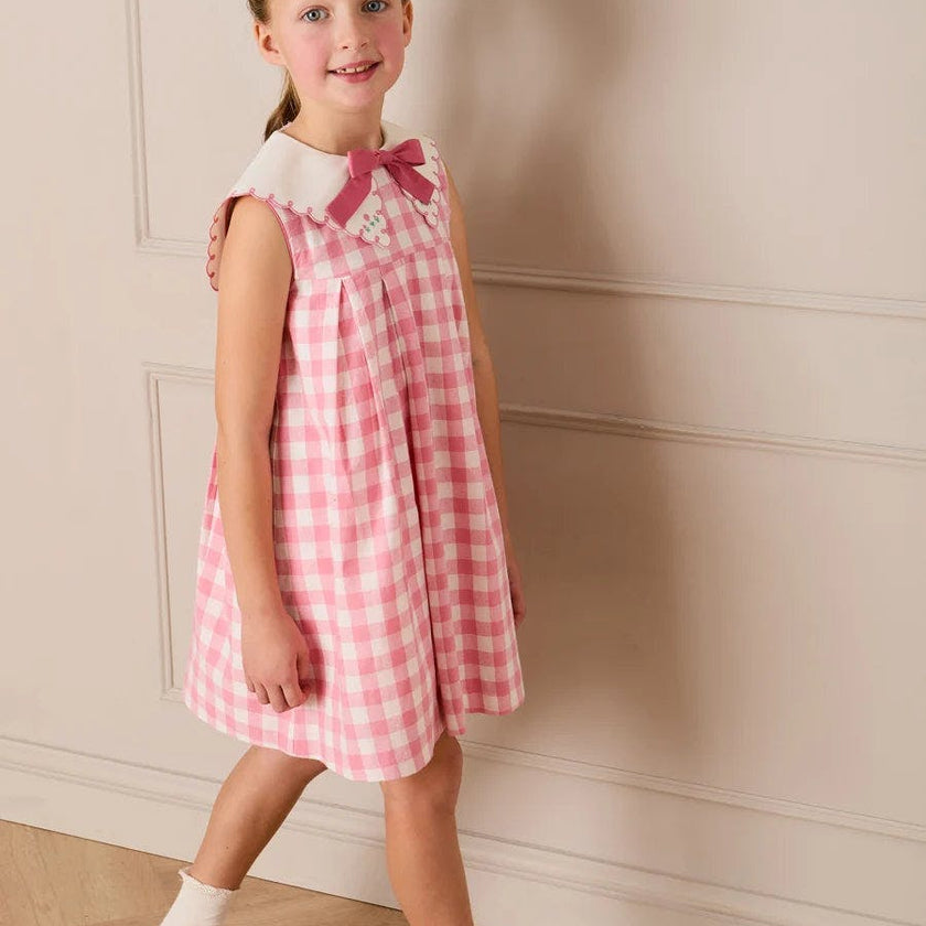 Catherine Gingham Embroidered Sleeveless Trapeze Dress in Pink (12mths- 10yrs)