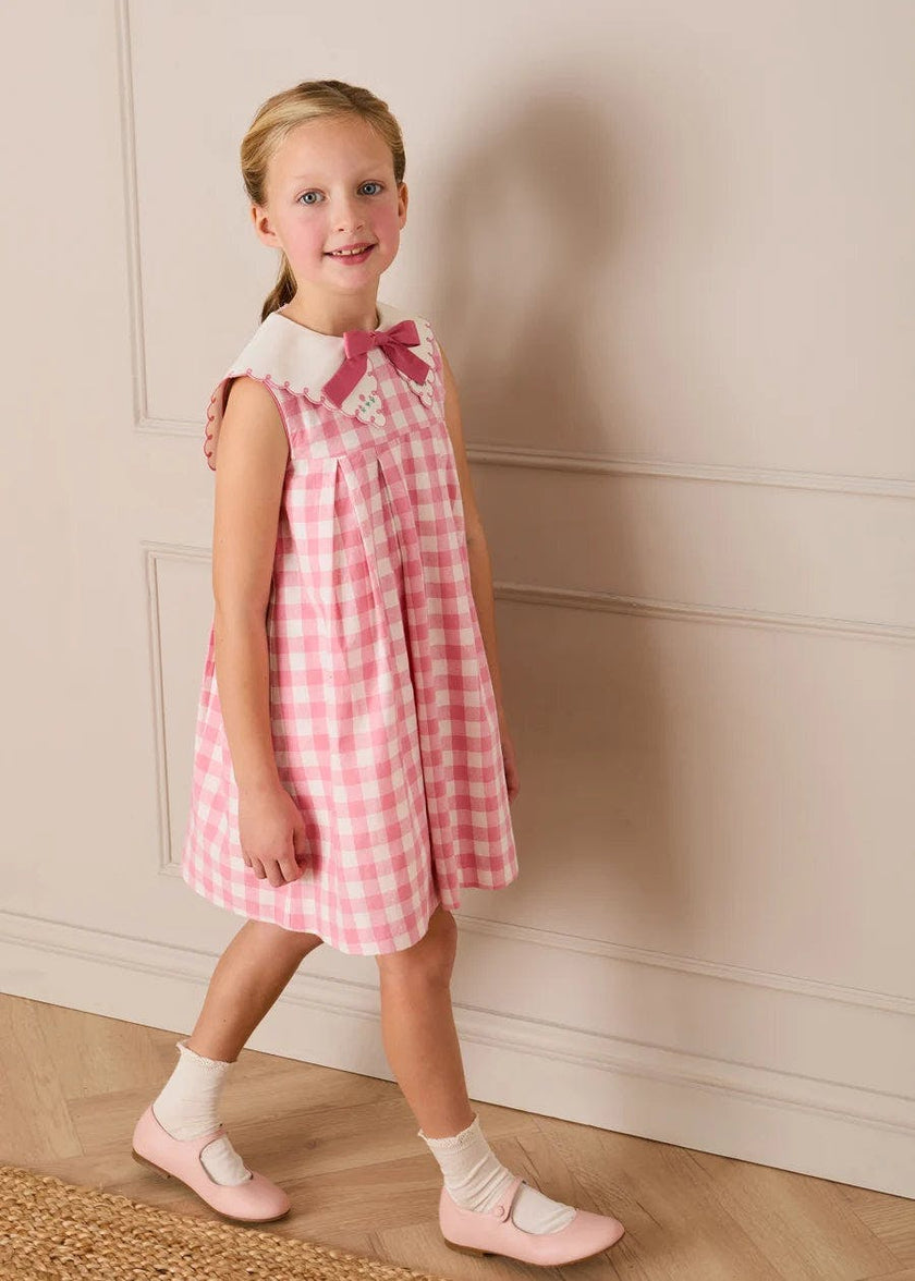 Catherine Gingham Embroidered Sleeveless Trapeze Dress in Pink (12mths- 10yrs)