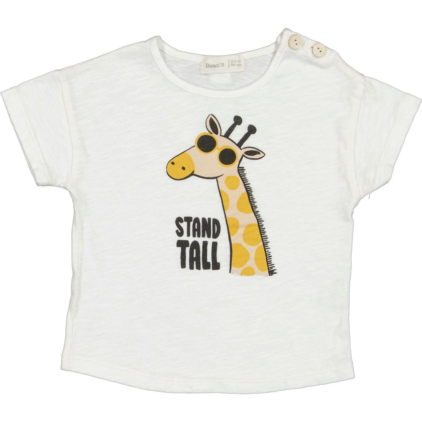 Print Short Sleeve T-Shirt