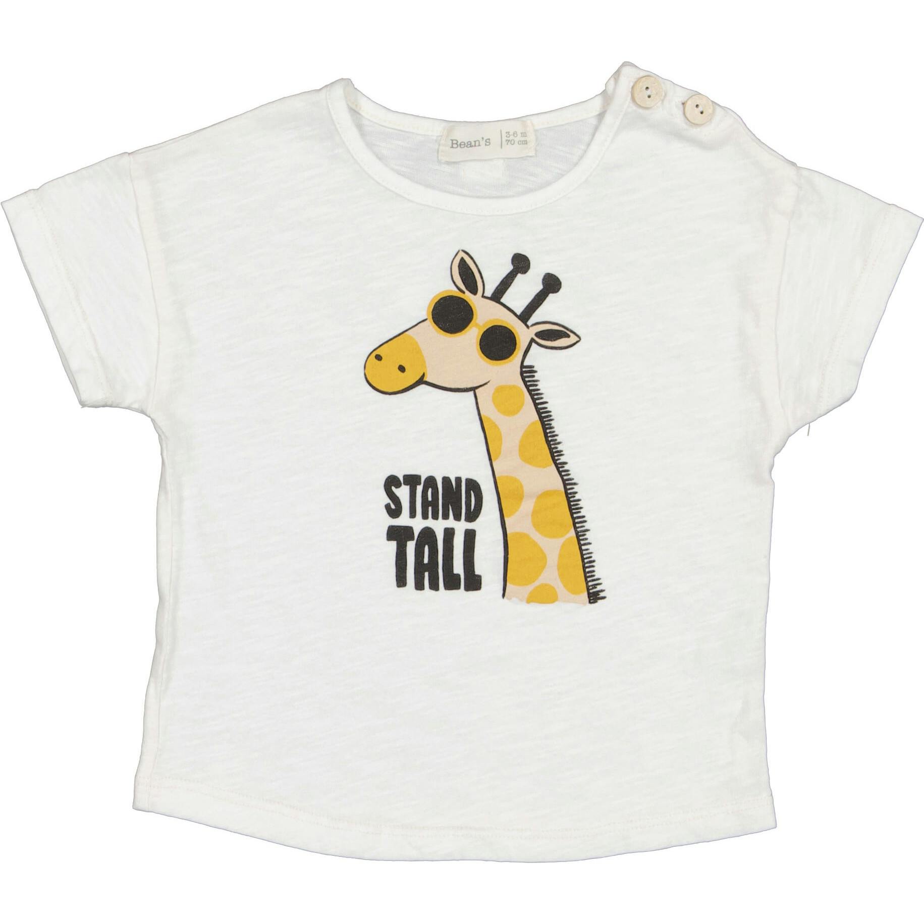 Print Short Sleeve T-Shirt